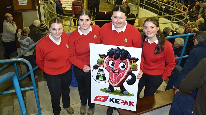 Clonakilty students learn on the job in Certified Angus competition Image