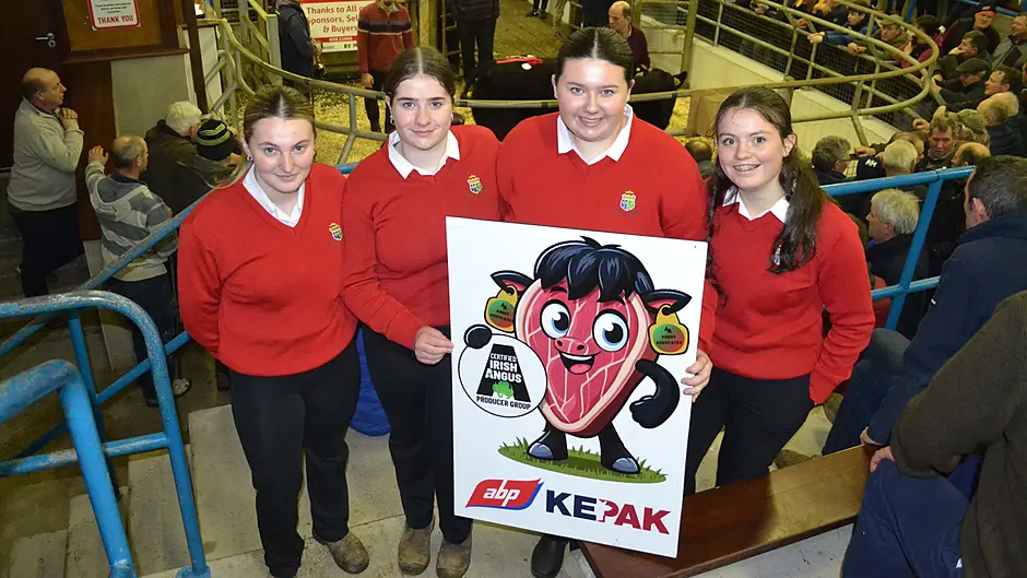 Clonakilty students learn on the job in Certified Angus competition Image