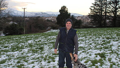 O’Donovans gearing up for calving season in Dunmanway Image
