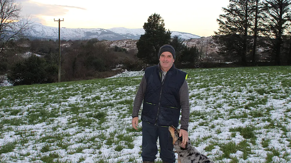 O’Donovans gearing up for calving season in Dunmanway Image