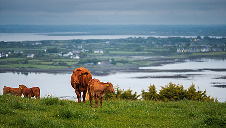 Rosscarbery IFA discuss Farming for Water Image