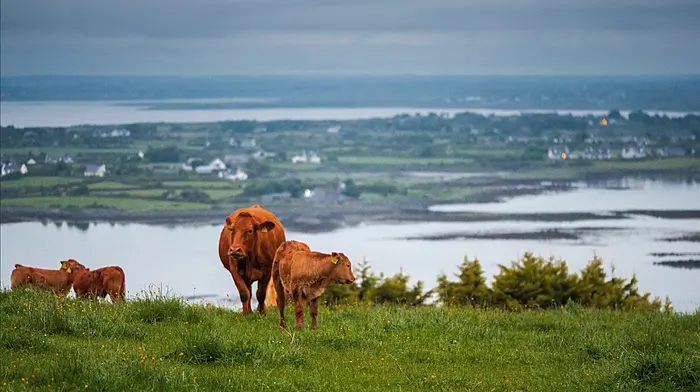 Rosscarbery IFA discuss Farming for Water Image