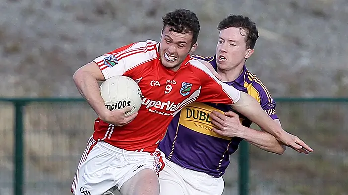 Beara to enter county senior football championship Image