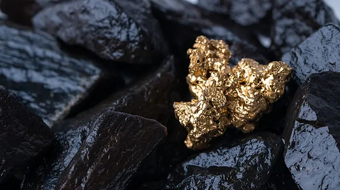 Meath firm seeking licences for West Cork prospecting Image