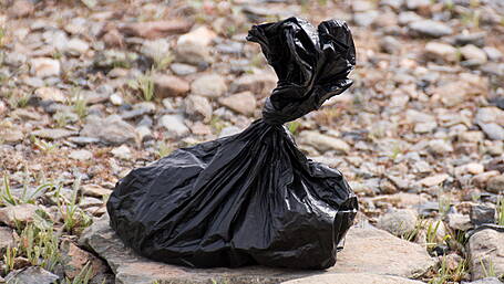 Public urged to report offenders as dog fouling is now ‘out of control’ Image