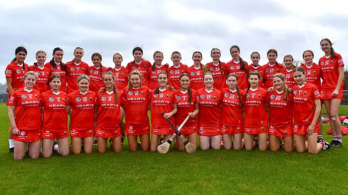 Super-sub Shauna Cronin earns Cork minor camogie team draw against Tipperary Image