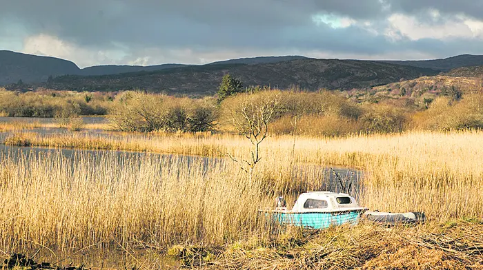 A small motor boat is caught in winter light while moored among reeds on the shores of Lough Allua outside Ballingeary.  (Photo: David Creedon)