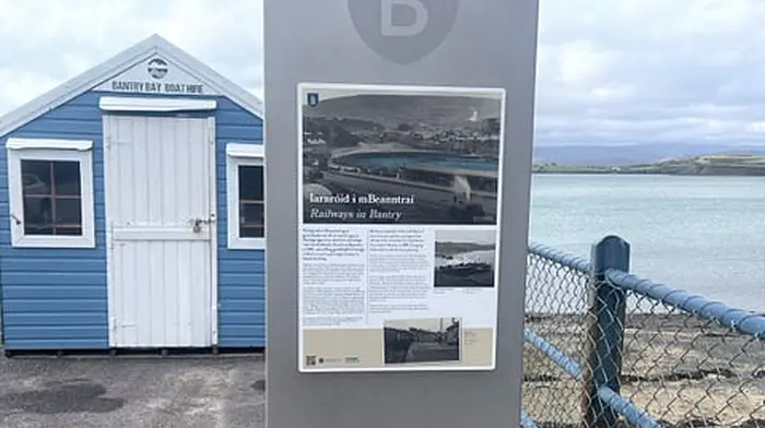 Council won’t spend all of the €670,000 for Bantry signs Image