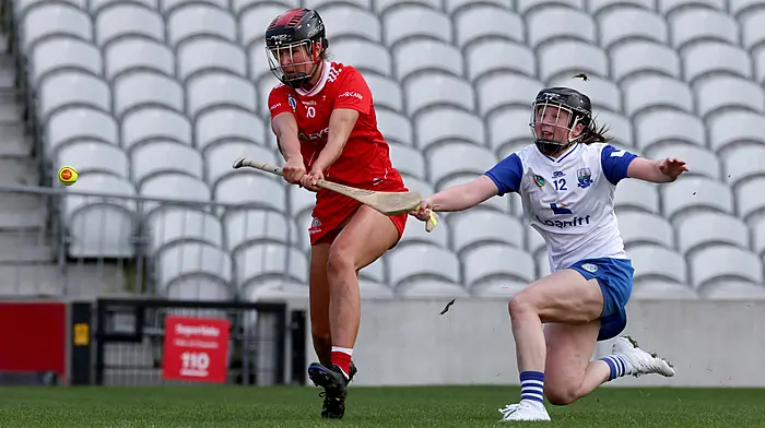 Saoirse hails Rebels’ fast  start to campaign Image