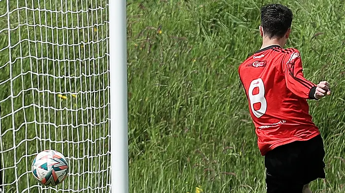 Goal crazy Drinagh Rangers hit nine in Beamish Cup quarter-final rout Image