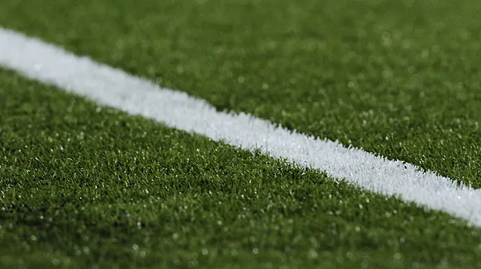 Carbery GAA clubs to discuss three options for new all-weather facility in the division Image
