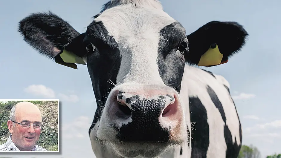 EU urged to follow ‘vision’ of farming sector with action Image