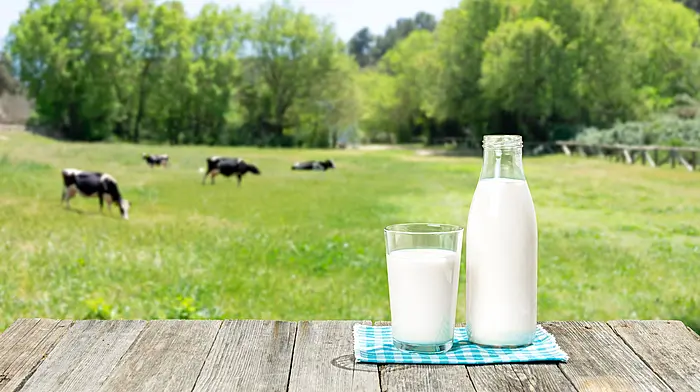 Milk prices hold steady for January Image