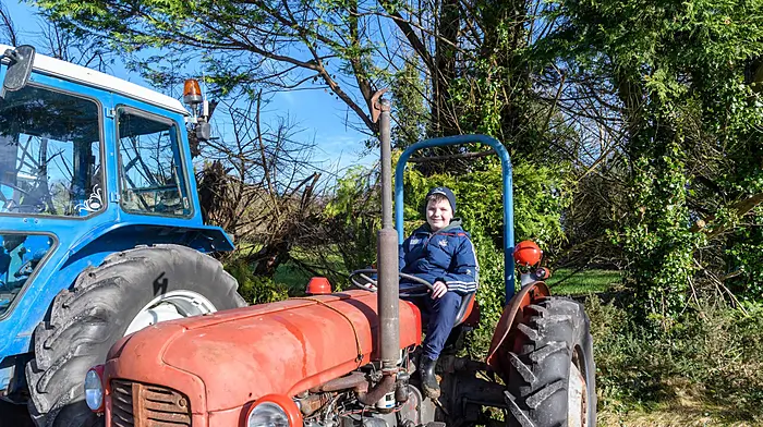 Will O'Flynn (Derrinacahara, Dunmanway) trying out a Massey Ferguson 35 for size at the St Enda’s National School, Kilnadur tractor and car run which took place recently. Proceeds of the run will go to St Enda’s National School and to CoAction.(Photo: David Patterson)