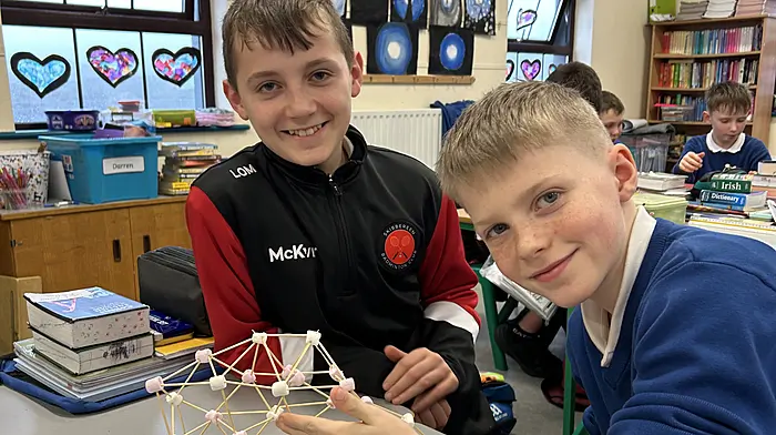 Engineers Week celebrations at Castletownshend NS Image