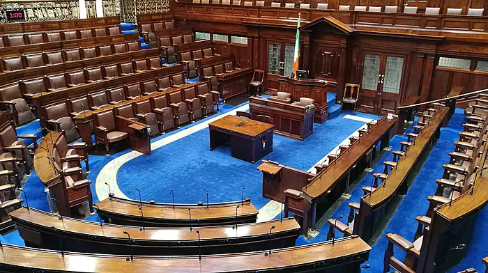 Extra ministries are ‘not justifiable’ says Independent Ireland leader Michael Collins Image