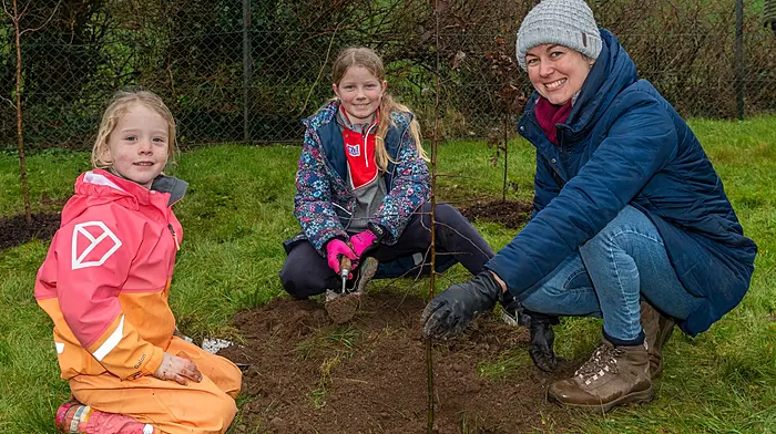 Pupils Thea O'Donovan and Sophia Hurley helping principal Laura Cotter plant a tree at Castledonovan National School. The school community held a tree planning day last Saturday to increase the biodiversity in the area. The trees were supplied by Deelish Garden Centre. (Photo: Andy Gibson)