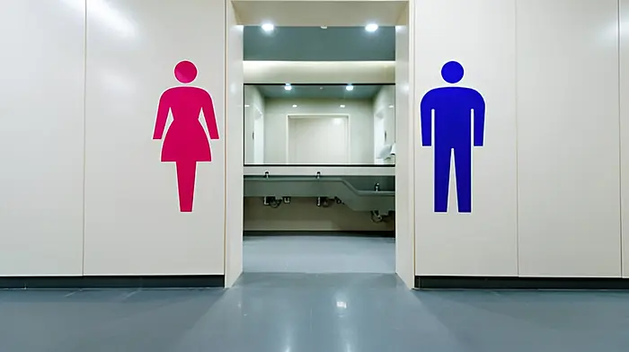 Lack of toilets could turn off Kinsale tourists Image
