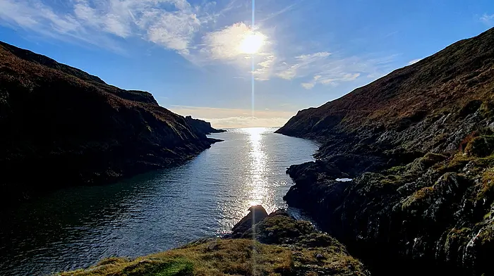 Reader’s Picture of the Week Image