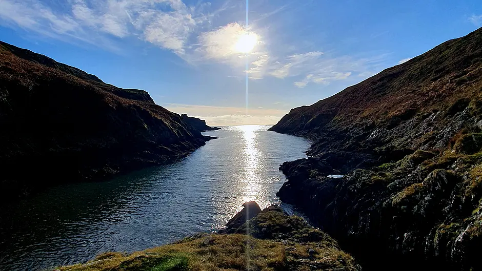 Reader’s Picture of the Week Image