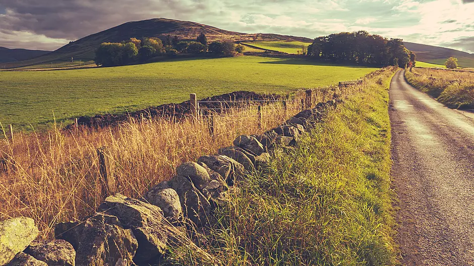 New closing dates for 2025 Tams applications Image