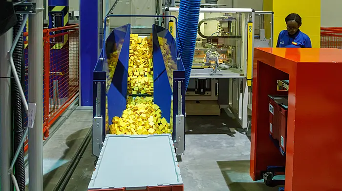CUTTING DOWN CANCER: Our bodies: the smallest, largest factories in the world Image