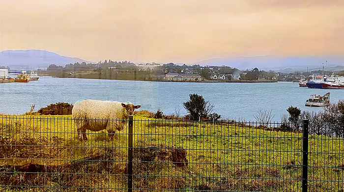Jack O'Shea, aged 12, took a photo of the view from his mother, Dr Fiona Kelly’s, desk at the Haven Medical Centre in Castletownbere. Jack’s teacher promised the class no homework if his photo made it into print in The Southern Star.