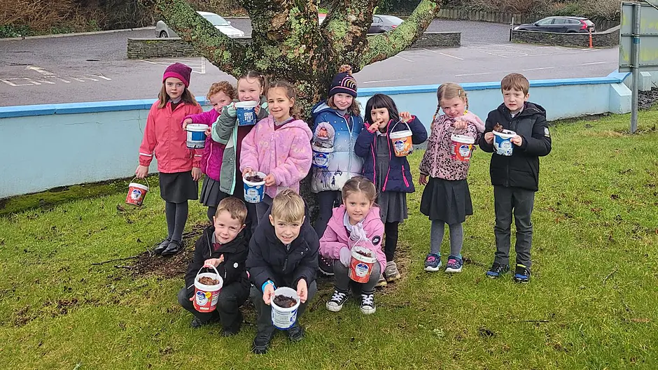 Wicklow trip for Union Hall NS school pupils Image
