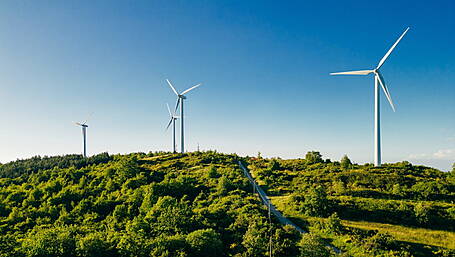 Windfarm go-ahead despite Council’s fears Image