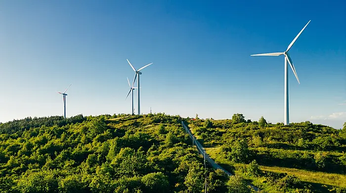 Windfarm go-ahead despite Council’s fears Image