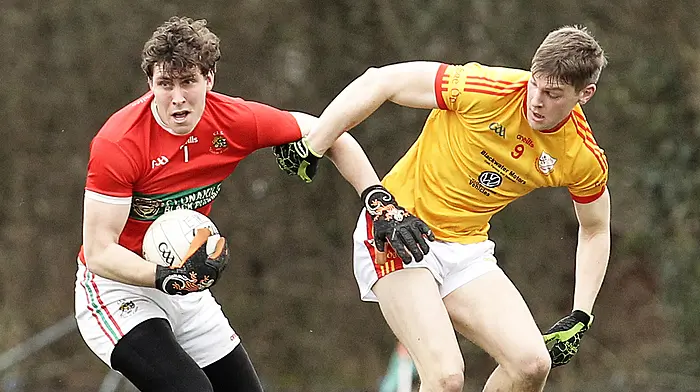GAA FIXTURES: County football leagues return this weekend Image