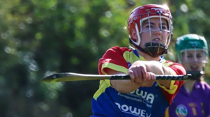 Carbery camogie ‘disappointed’ and 'surprised' as future of senior divisional team in serious doubt Image