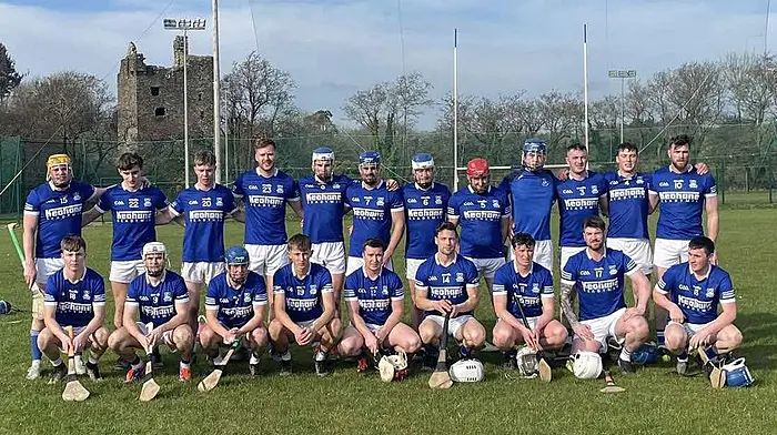 Kilbree hurlers off to a winning start Image