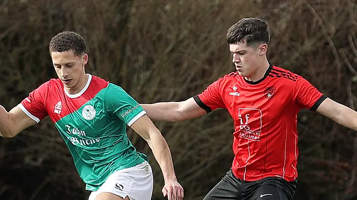 BEAMISH CUP FINAL: Will Clonakilty defend their cup crown or can Ardfield cause another shock? Image
