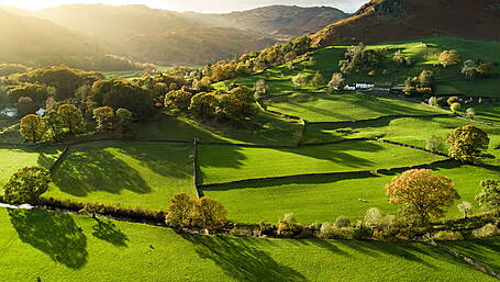 Farmers could avail of land tax exemptions in 2025 Image