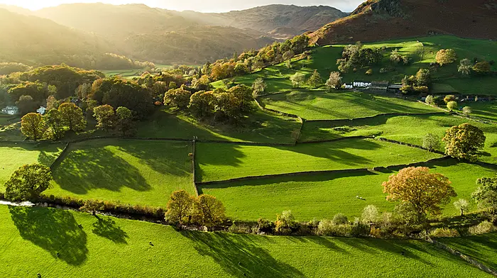 Farmers could avail of land tax exemptions in 2025 Image