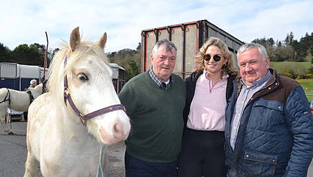 Out and About in West Cork Image