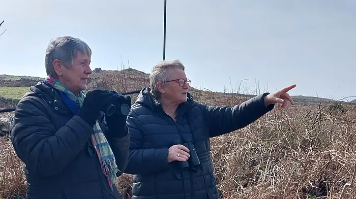 Nature boost for Cape Clear with mapping of habitats Image