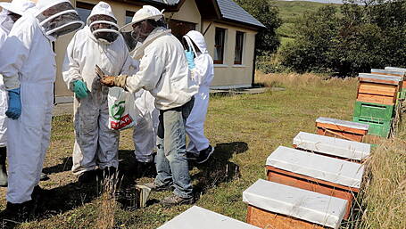 Dunmanway is all abuzz for annual beekeeping event Image