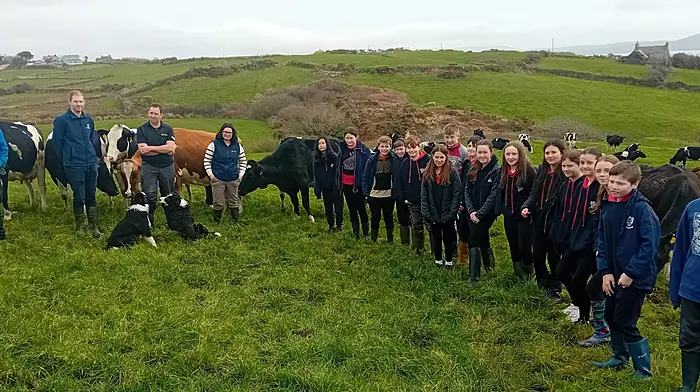 Pupils of Carrigboy National School during the farm walk at Finn O'Mahony's farm at Lower Letter, Kilcrohane last week were (from left): Cian O'Mahony, Ronan Kennedy (Carbery Group), Finn O'Mahony, Lorna Twomey (Drinagh Co-op), Savannah Viray, Grace O'Brien, Zach McCarthy, Tadhg O'Connor, Jack Levis, Aoife Bignell, Owen Coughlan, Kevin Hickey, Elisha O'Brien, Emma Barry O'Callaghan, Emily O'Donovan, Skye Pople, Aimee Fehily, Zara Mallon, Charlie McCarthy, and Jack O'Mahony.