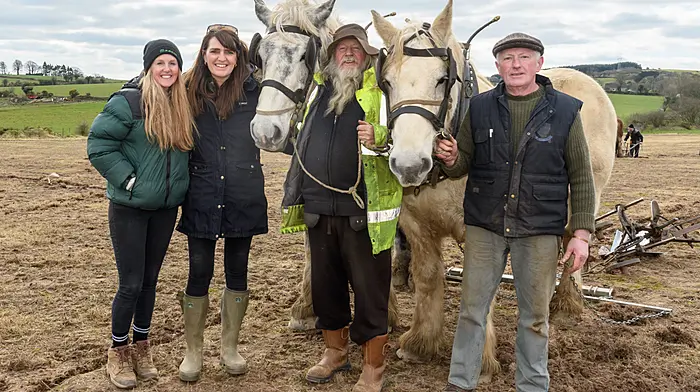 Caroline O'Driscoll (Kilbrittain), Claire O'Rourke (Timoleague), Jerry from Kerry and Moss Trant (Tralee) with horses Elton and Larry at the Macroom 52nd annual ploughing match which was the seventh ploughing match of the 2024/2025 season in the Cork West region and which was held on the lands of Dennehy family, Coolineagh, Aghabullogue.   (Photo: David Patterson)