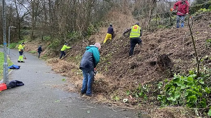 A meitheal was held last Saturday to clear the Memory Garden which stretches behind the wall from the parish hall to the bridge. An amazing amount of clearing was done by a crew of great workers.