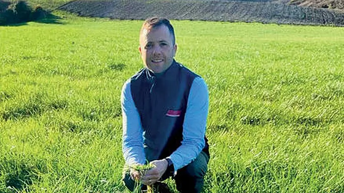 Grow great grass with great local knowledge at Agway Milling Image