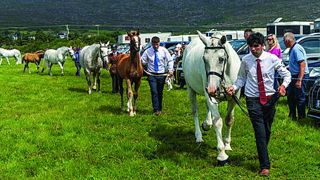 Agricultural shows to receive share of €1m in funding for this year’s editions Image