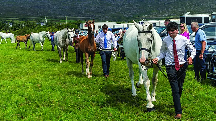 Agricultural shows to receive share of €1m in funding for this year’s editions Image
