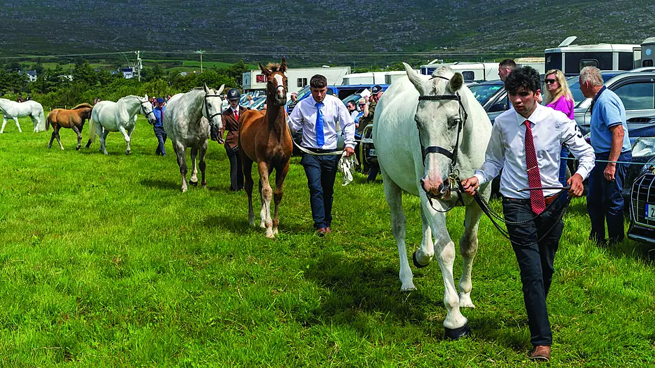 Agricultural shows to receive share of €1m in funding for this year’s editions Image