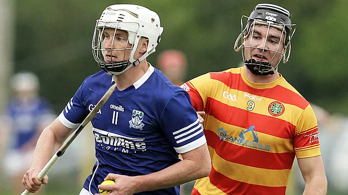 Four-goal Kilbree grab their chance to book their place in Carbery JAHC final Image