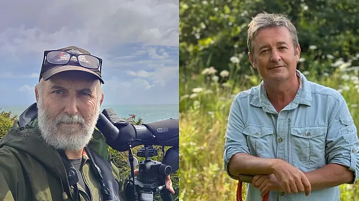 Free Clonakilty screening highlights global ocean issues Image
