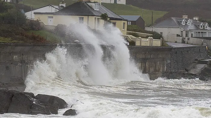 Met Éireann issues dual wind warnings: Orange Alert for coastal counties as Storm Bram approaches Image
