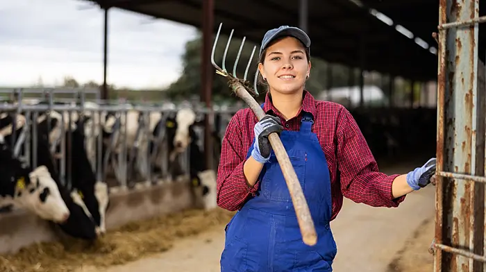 TAKING STOCK: Hail the ladies who did the groundwork Image
